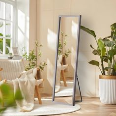 a mirror sitting on top of a wooden floor next to a potted plant