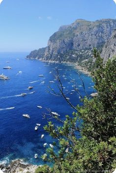 boats are floating in the blue water next to trees and mountains on a sunny day