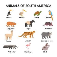 an animal chart with all the different types of animals in each country and their names