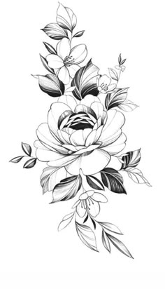 a black and white drawing of flowers with leaves on the bottom half of each flower