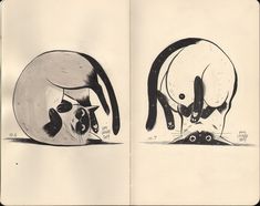 an open book with two drawings of cats