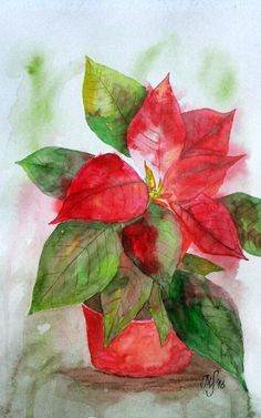 a painting of a poinsettia plant with green leaves