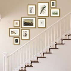 a staircase with pictures on the wall above it