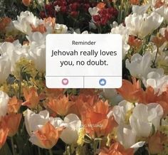 flowers with the text reminder jehovah really loves you, no doubt