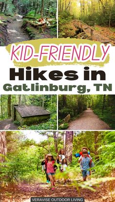 Kid-Friendly Hikes in Gatlinburg Gatlinburg Family Vacation, Packing For Gatlinburg Tn, Smokey Mountains With Kids, Hikes In Gatlinburg Tn, Gatlinburg With Toddlers, Things To Do In Gatlinburg With Kids, Gatlinburg With Kids, Great Smoky Mountains With Kids, Pigeon Forge With Kids