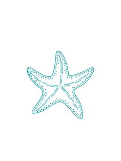 a starfish is drawn in blue ink on a white background