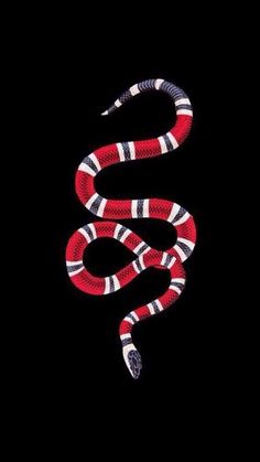 an iphone case with a red and black snake on the front, against a black background