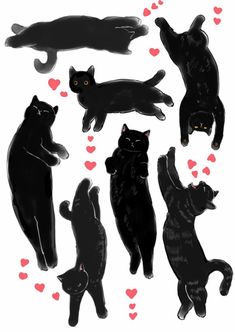 several black cats are standing in the air with hearts around them and one cat is laying on its back