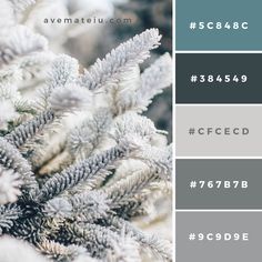 the color scheme for an evergreen tree with white and gray leaves on it, in shades of