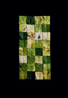 a green and white square with leaves on it