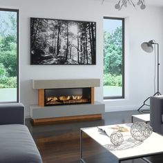 modern living room with fireplace and large windows