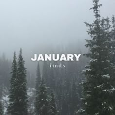 trees covered in snow with the words january finds on it's bottom right corner