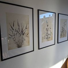 three framed pictures hanging on the side of a wall