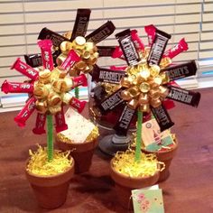 two small potted plants with candy flowers in them, each decorated to look like they are