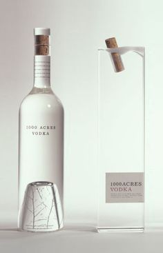 a bottle of vodka sitting next to a glass tube with a cork in it's mouth