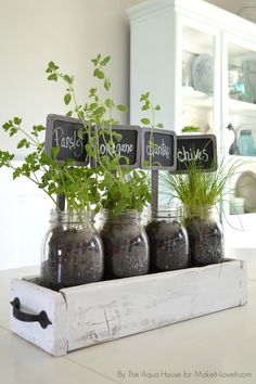 four mason jars with plants in them sitting on a kitchen counter, labeled herbs and chalkboards