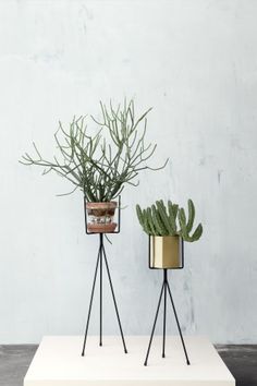 two metal planters with plants in them