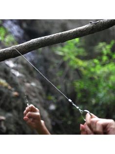 a person holding onto a rope attached to a tree branch