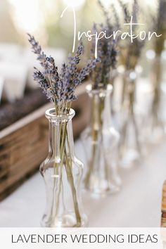 several vases filled with lavender flowers sitting on a table