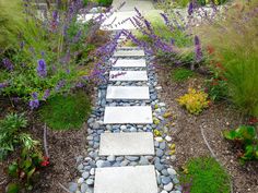 a stone path in the middle of a garden with purple flowers and grass around it