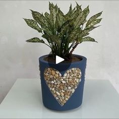 32K views · 733 reactions | Ideia genial de como usar pedrinhas e cimento para criar vasos únicos | Artesanato aplicado Planting Pot, Pot Plants, Concrete Projects, Potted Plants, Planting