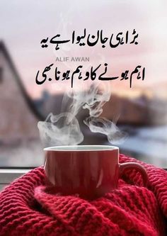 Urdu Phrases, Best Quotes In Urdu, Thingsaboutboyfriends, Poetry Funny, Love Quotes In Urdu, Urdu Funny Quotes