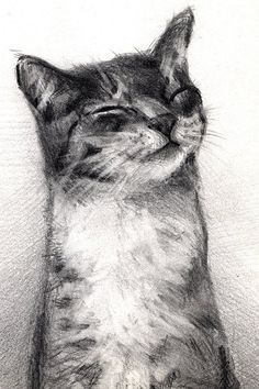 a drawing of a cat with its eyes closed