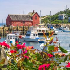 several boats are docked in the water next to a red building with a red roof