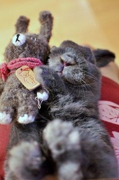 two stuffed animals laying next to each other on top of a red cushioned surface