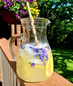 a pitcher filled with lemonade and lavender flowers