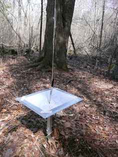 an upside down white object in the woods