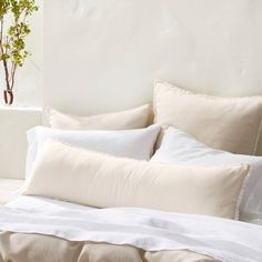 an unmade bed with white linens and pillows on top of it, next to a potted plant