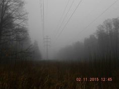 power lines in the fog with trees and grass