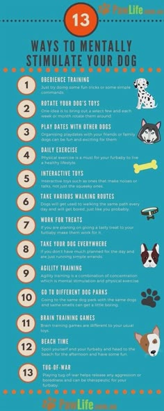 the ultimate guide to dog training info sheet for dogs and their owners, including instructions on how