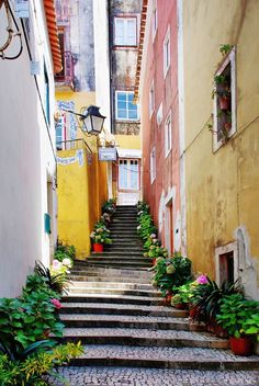 an alleyway with steps leading up to the door and flowers growing on either side