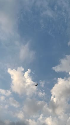 the bird is flying high in the blue sky with white clouds behind it and an airplane on the far side