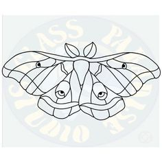 a drawing of a moth with eyes and wings on it's head, in black and