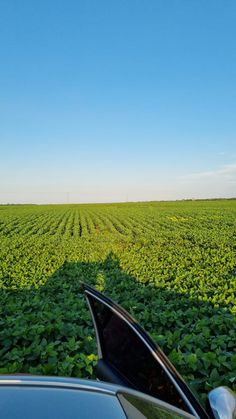 Ecology Aesthetic, Farm Lifestyle, Rural Life, Gold Wallpaper, Spring Aesthetic, Aerial View, Country Life, Farm Life