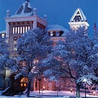 snow covered trees in front of a large building at night with lights shining on it