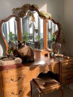 a siamese cat sitting on top of a wooden desk next to a dresser and mirror