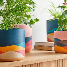 three potted plants sitting on top of a wooden table next to books and planters