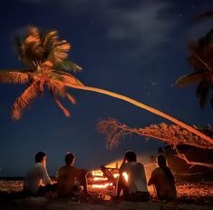 people sitting around a campfire at night under a palm tree with the moon in the sky