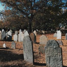 an old cemetery with headstones and trees in the background