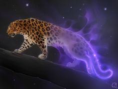 a painting of a leopard walking on top of a hill with stars in the background