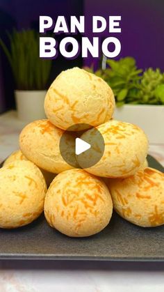 a pile of oranges sitting on top of a metal tray next to a potted plant