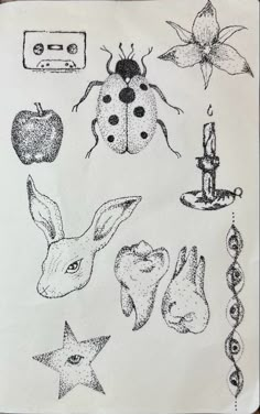 a drawing of bugs, ladybugs, and other items in black and white