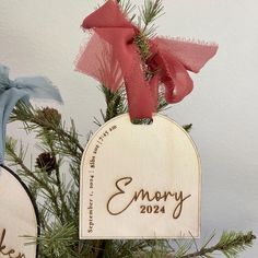 two wooden tags hanging from a christmas tree with red bows on it's head