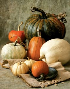 pumpkins and gourds are arranged on a cloth