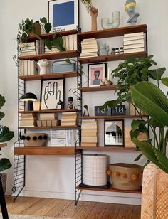 a bookshelf filled with lots of books next to a potted plant on top of a hard wood floor