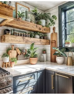 a kitchen filled with lots of potted plants on top of wooden shelves above a stove